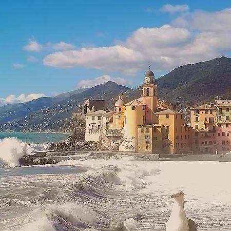 Apartamento Silmar *